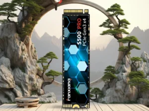 Fanxiang M.2 SSD Hard Disk 1TB 2TB 3500MB/s NVMe M2 SSD 512GB PCIe 3.0 Internal Solid State Drive EU US Local Delivery S500 Pro
