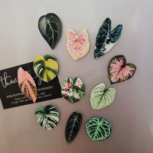 6pcs Begonia Monstera Magnetic Refrigerator Magnets, Kawaii Tropical Plants Refrigerator Magnets, Whiteboard Magnets