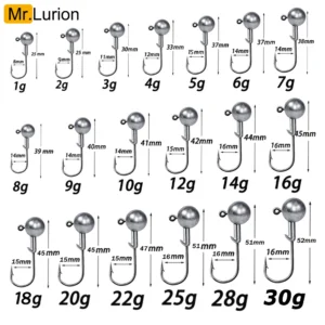MrLurion 1g 2g 3g 4g 5g 10g 20g 22g 25g 28g Fishing Jig Head Hook, Rigging Hook for Crank Soft Grub Worm Lure Bait Sharp Hooks