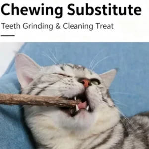 Woodruff Sticks for Cats Natural Catnip Chew Sticks Teeth Molar Chewing Toys for Cat Kitten Gifts