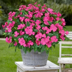 Silk Balsam Artificial Flowers High Quality Wedding Home Room Table Centre Decora Wreath Bridal Bouquets Yard Filler Arrangement