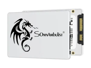 SomnAmbulist SSD 2.5 64GB 128GB 256GB 512GB for Laptop Desktop Solid State Drive Sata3 120GB 240GB 480GB