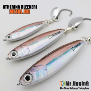 2025 New Super Short Arherina Bleekeri Metal Jigs 30g/40g/60g/80g Spanish Mackerel Katsuo Lure Sea Fishing Spoon Jigging Bait