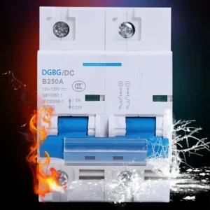 DC Circuit Breaker 1P/2P Solar RV Yacht Battery Protection Switch 12/24/48/60/120V 80A-250A Short Circuit Breaker for Renewable