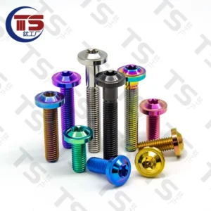 TS M4/M5/M6/M8X10/15/20/25/30/35-60mm multicolor Titanium Bolts Screws Button Torx Head Bicycle Motorcycle Disc Brake 10 PCS