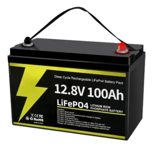 12V 100Ah LiFePO4 Lithium Battery, Group 31 Deep Cycle with Smart 100A BMS Low Temp Cut-Off, 15000+ Cycles 10-Year, Customized