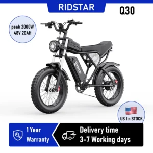 RIDSTAR Q30 Electric Bike for Adults E-Bike 2000W 48V 20AH 20" Fat Tire Electric Dirt Bike Bicycle UL2849 for Mountains Road