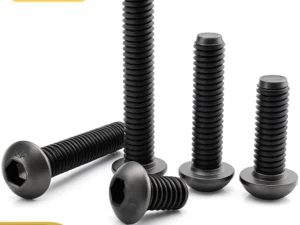 10-200pcs Hexagon Hex Socket Head Screw ISO7380 M2 M2.5 M3 M4 M5 M6 M8 Black Grade 10.9 Steel Button Head Allen Bolt Screws