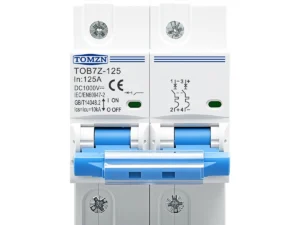 TOMZN 2P 1000V DC MCB TOMZN 80A 100A 125A Circuit Breaker PV System C Curve Battery Main Switch