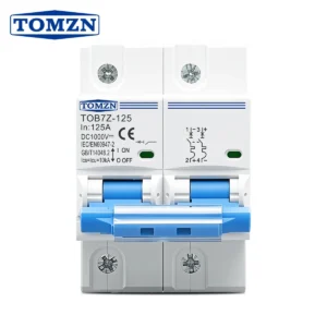 TOMZN 2P 1000V DC MCB TOMZN 80A 100A 125A Circuit Breaker PV System C Curve Battery Main Switch