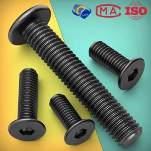 M2 M3 M4 M5 M6 M8 Black 304 Stainless Steel Low Profile Socket Head Cap Screws Hex Key Bolts Ultra Thin Flat Head Allen Hexagon